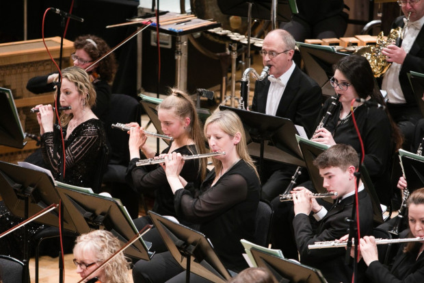 Strange Type of Orchestra Love Strange Type of Orchestra Love