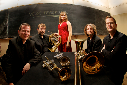 Brass Concerts in Dublin and Galway