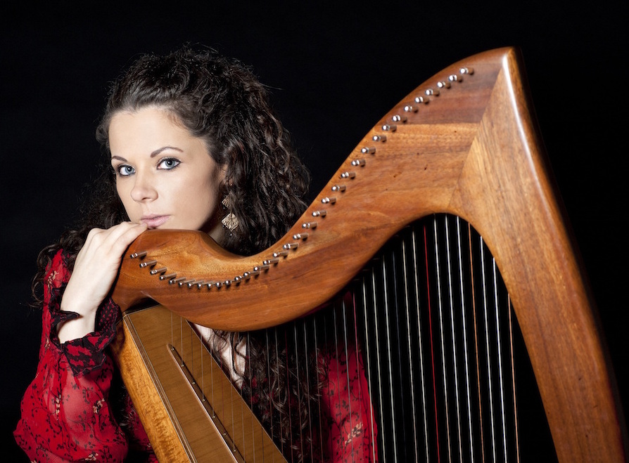 Will 2016 be a Turning Point for the Irish Harp? Will 2016 be a Turning Point for the Irish Harp?