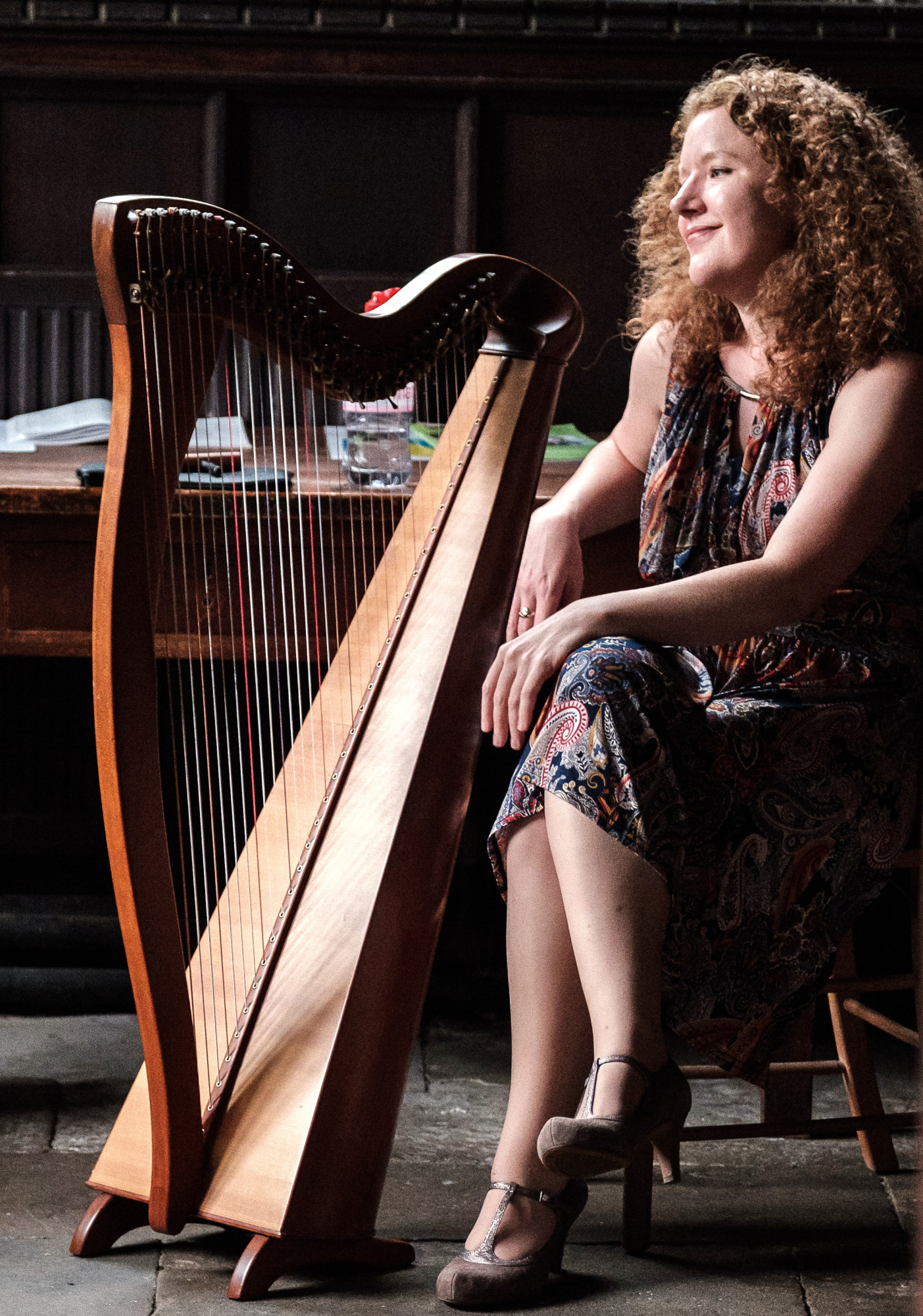 Harps Alive Festival 2023 - Hands on Harps Workshops