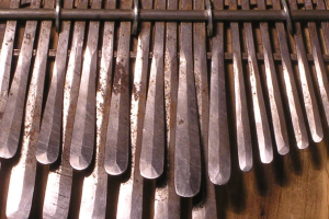 New Mbira Academy Launched