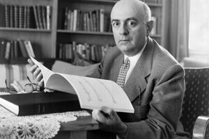 Adorno&#039;s Philosophy of Music