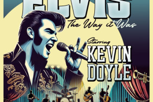 Elvis - The Way it Was