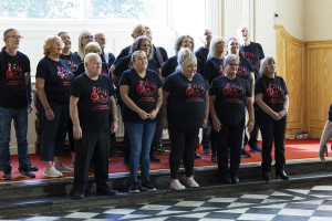 Festival of Voice: Waterford High Hopes Choir