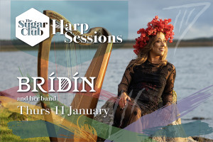 The Sugar Club Harp Sessions - Brídín and Band