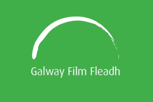 Volunteer at Galway Film Fleadh 2023