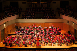 Programmes Manager with the Irish Association of Youth Orchestras 