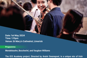  Irish Chamber Orchestra Academy Project