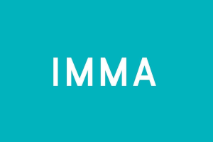 Visual Arts Curatorial Fellowship