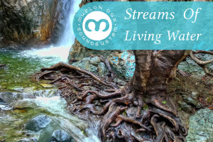 Muflon Dub Soundsystem - Streams Of Living Water