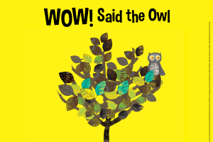Little Angel Theatre: Wow! Said the Owl.