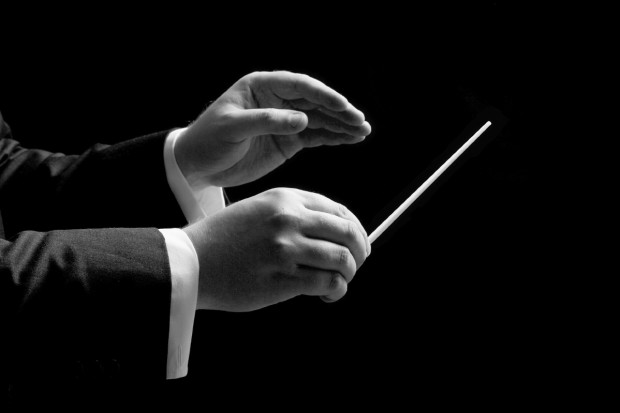 IAYO&#039;s Orchestral Conducting Workshops  | Observer Places Available