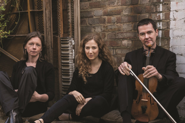 Fidelio Trio Lunchtime Concert 21st January:                 Schlepper-Connolly, Grainger and Bowden